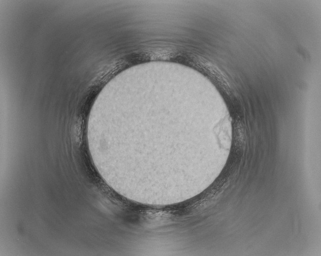 X0000115150311200912081352