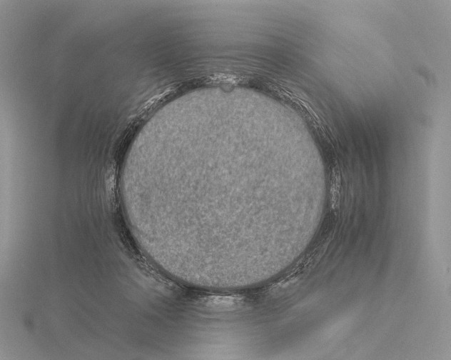 X0000115150314200912081352