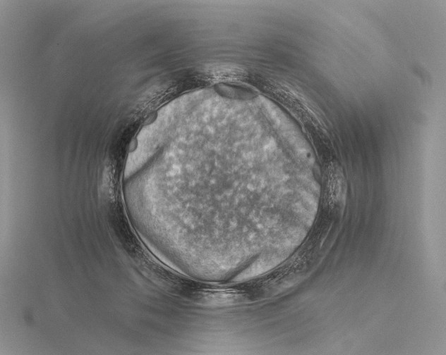 X0000115150316200912081352