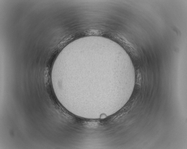 X0000115150318200912081352