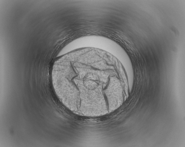 X0000115150320200912081352