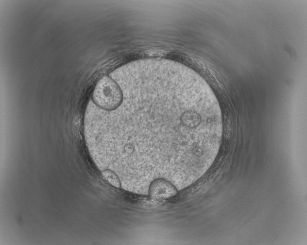 X0000115150321200912081352