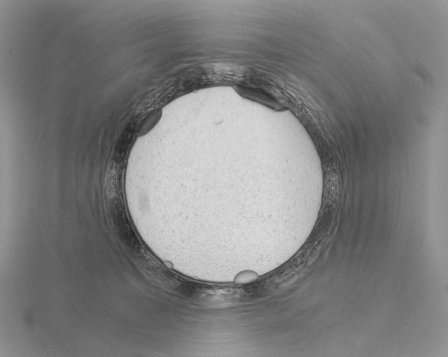 X0000115150323200912081352