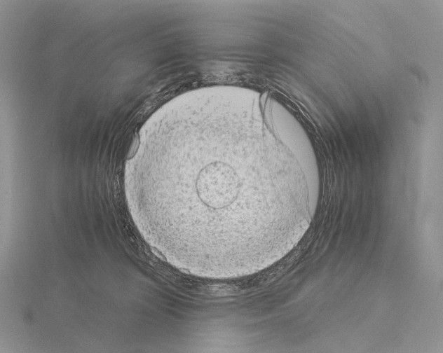 X0000115150324200912081352