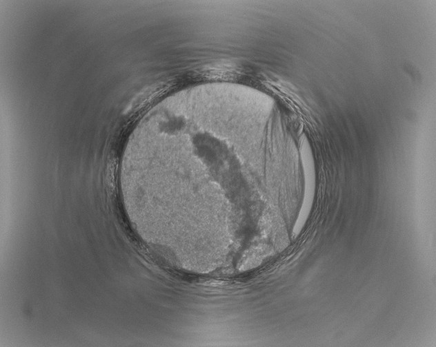 X0000115150325200912081352