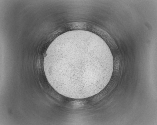 X0000115150326200912081352