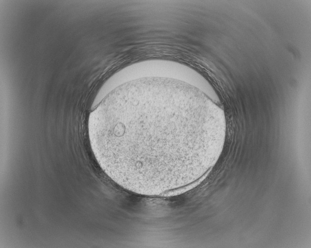 X0000115150327200912081352