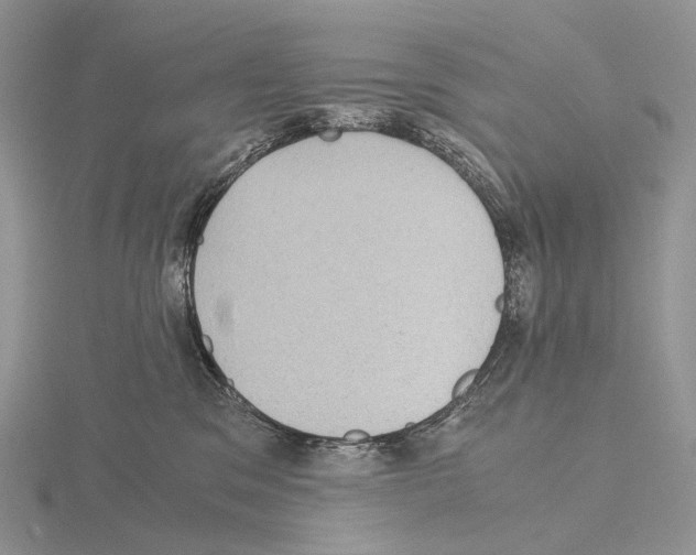 X0000115150329200912081352