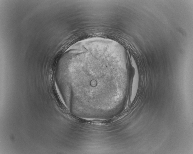 X0000115150332200912081352