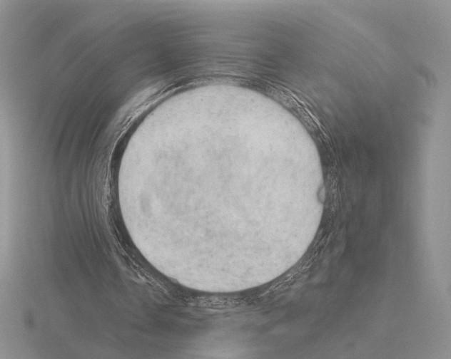 X0000115150338200912081351