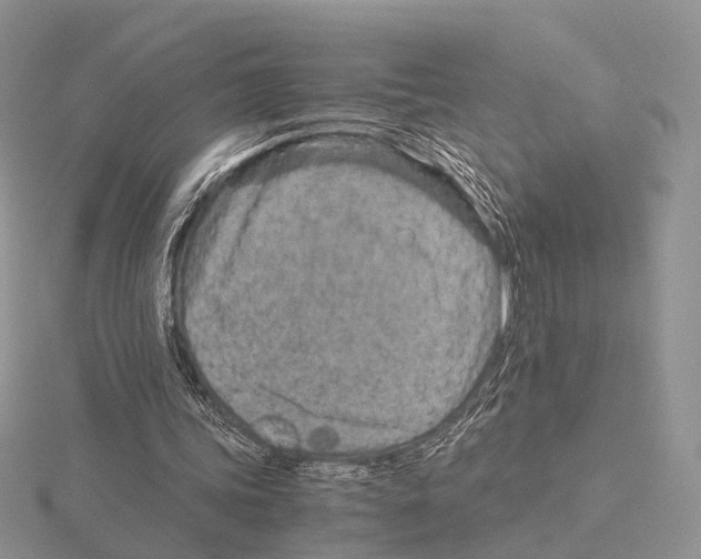 X0000115150339200912081351