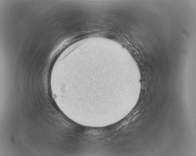 X0000115150341200912081351