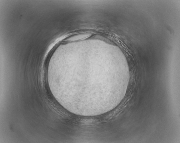 X0000115150342200912081351