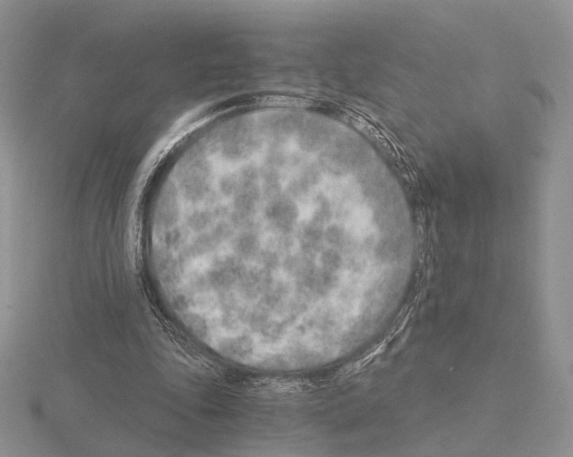 X0000115150343200912081351