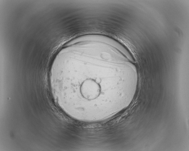 X0000115150345200912081351