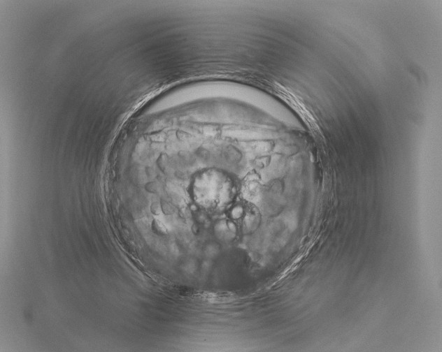 X0000115150346200912081351