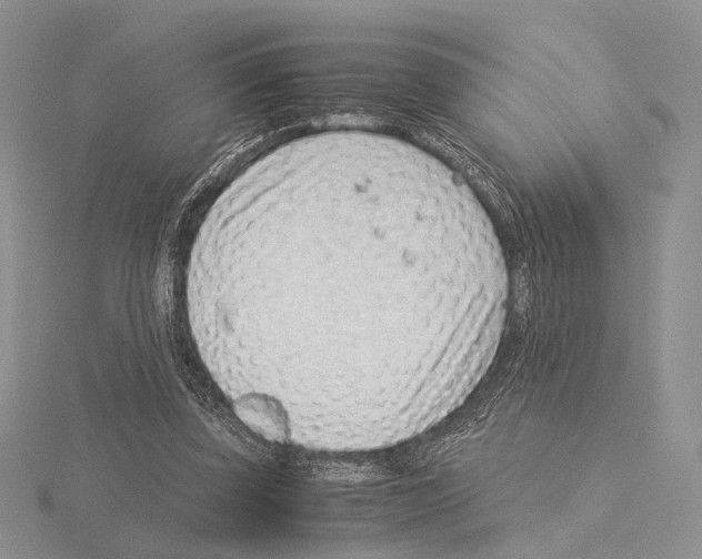 X0000115150347200912081351