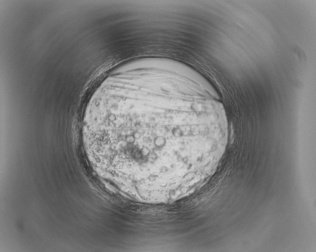 X0000115150349200912081351