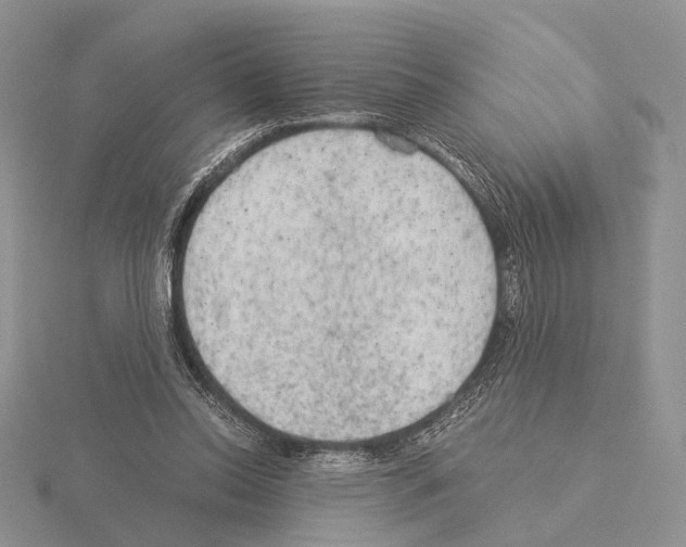 X0000115150350200912081351