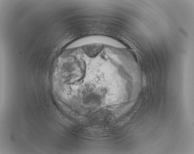 X0000115150353200912081351