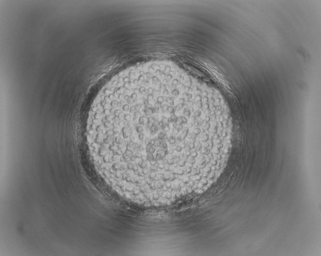 X0000115150354200912081351