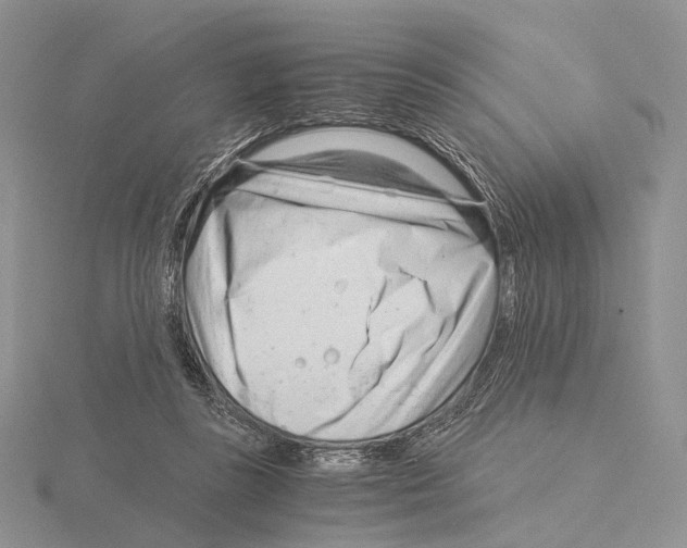 X0000115150355200912081351