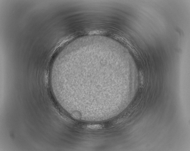 X0000115150357200912081351