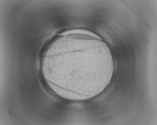 X0000115150358200912081351