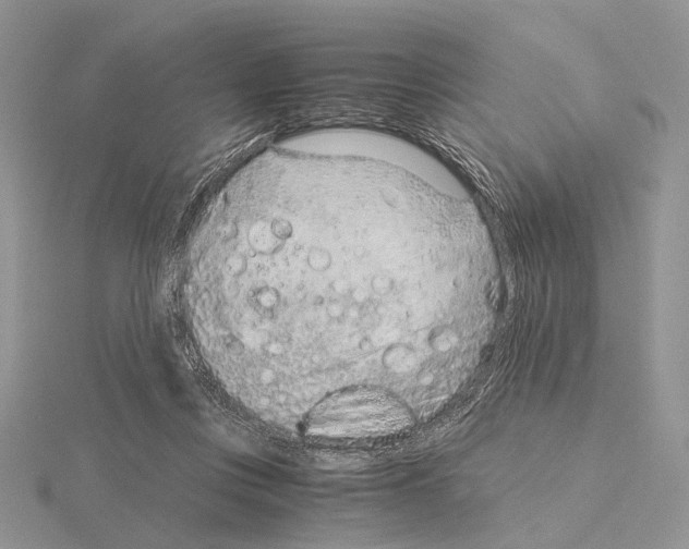 X0000115150359200912081352