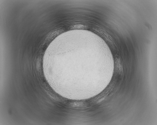 X0000115150361200912081352