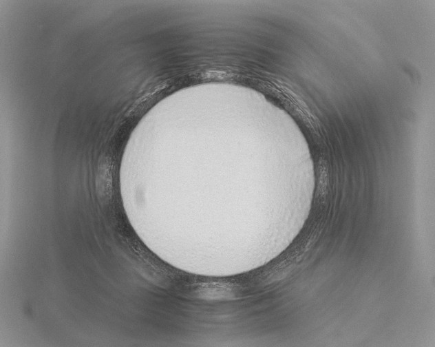 X0000115150363200912081352