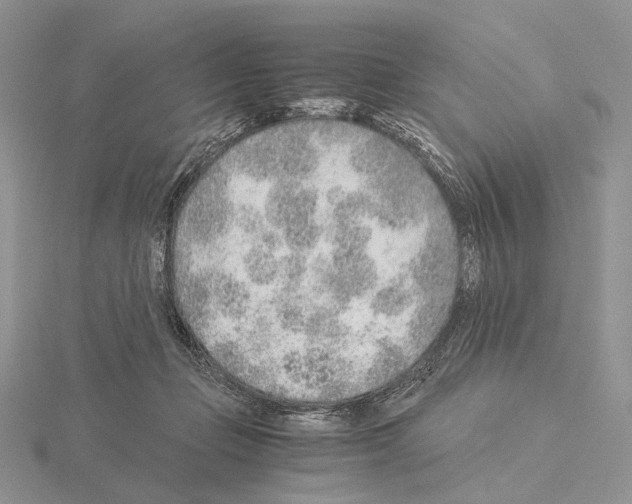 X0000115150365200912081352