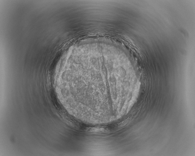 X0000115150366200912081352