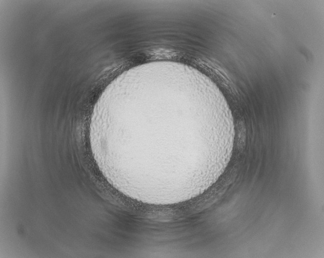 X0000115150369200912081352