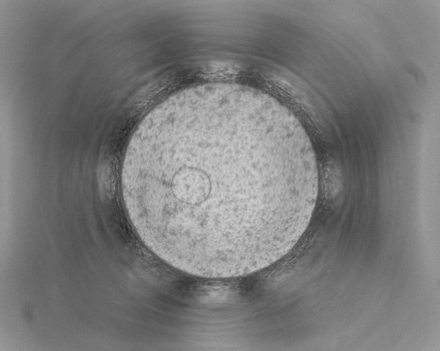 X0000115150370200912081352