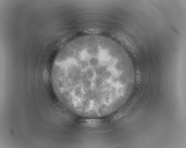 X0000115150371200912081352