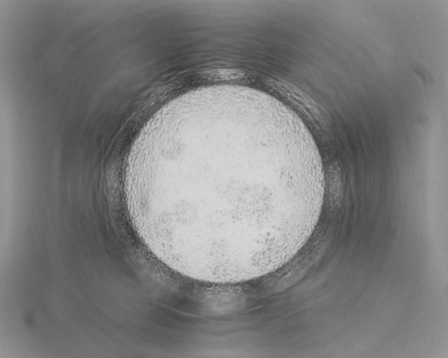 X0000115150373200912081352