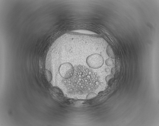 X0000115150374200912081352