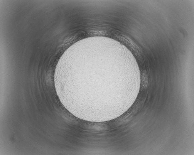 X0000115150377200912081352