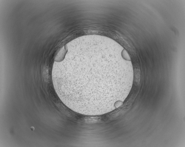 X0000115150378200912081352