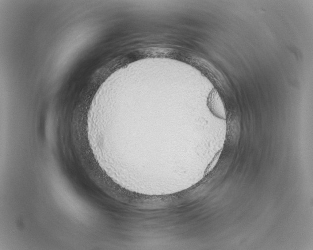 X0000115150381200912081352