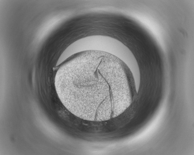 X0000115150382200912081352