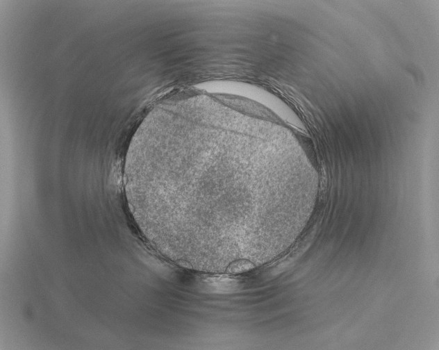 X0000115150383200912081352