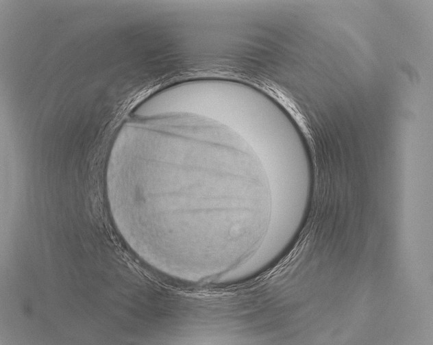 X0000115150385200912081351