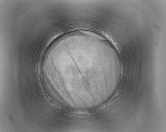 X0000115150386200912081351