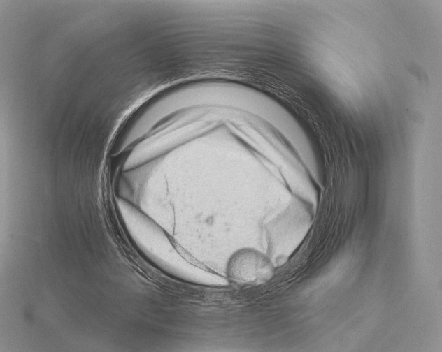 X0000115150388200912081351