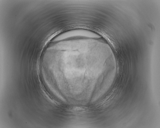 X0000115150390200912081351