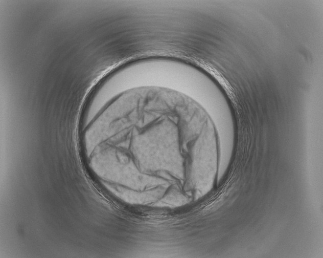 X0000115150391200912081351