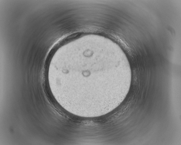 X0000115150392200912081351