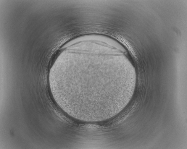 X0000115150393200912081351